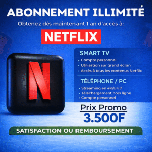 ABONNEMENT NETFLIX ILLIMITÉ – 12 MOIS